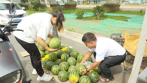 自由吃瓜结果,揭秘娱乐圈幕后真相
