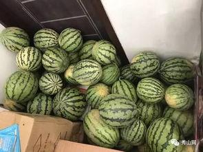 专门吃瓜群免费,免费畅享娱乐盛宴的秘密基地