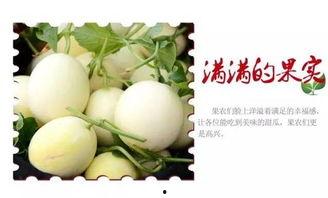 412吃瓜宝典,娱乐圈幕后真相大曝光