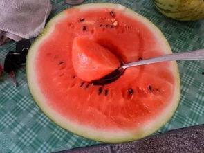 外国吃瓜微博,外国微博上的趣味生活瞬间