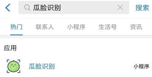 吃瓜网破解,揭秘网络信息安全背后的真相