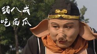 吃瓜猪八戒,揭秘八戒的另类美食之旅