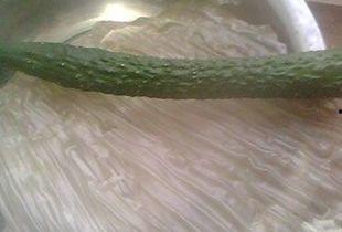 洋瓜可以和葱一起吃吗吗,健康美味两不误