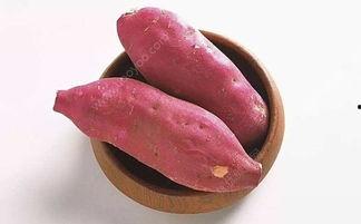 琪琪吃土瓜放屁,趣味生活瞬间