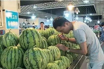 吃瓜群众的瓜怎么培育