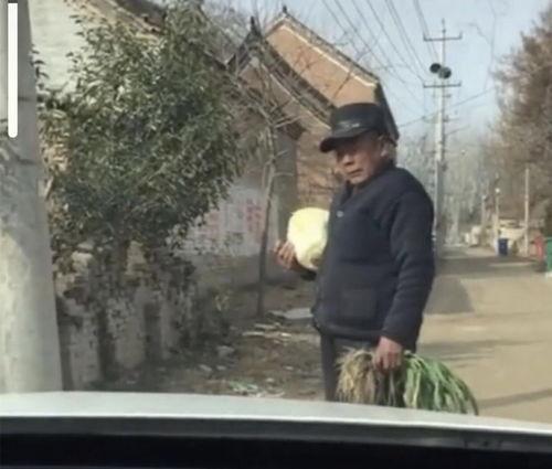 舅姥爷吃瓜,舅姥爷的瓜田奇遇记